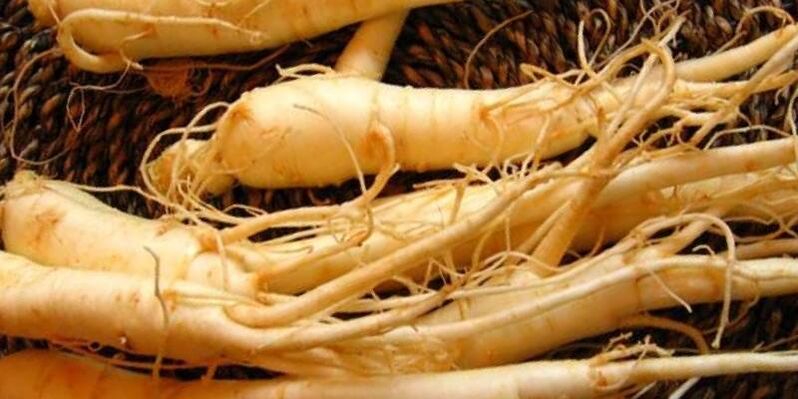 ginseng rot for å øke styrken